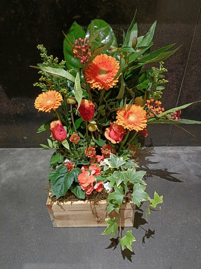 Mai 2026 — Montage plante & fleurs coupées