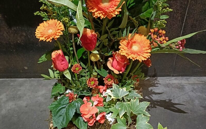 Mai 2026 — Montage plante & fleurs coupées