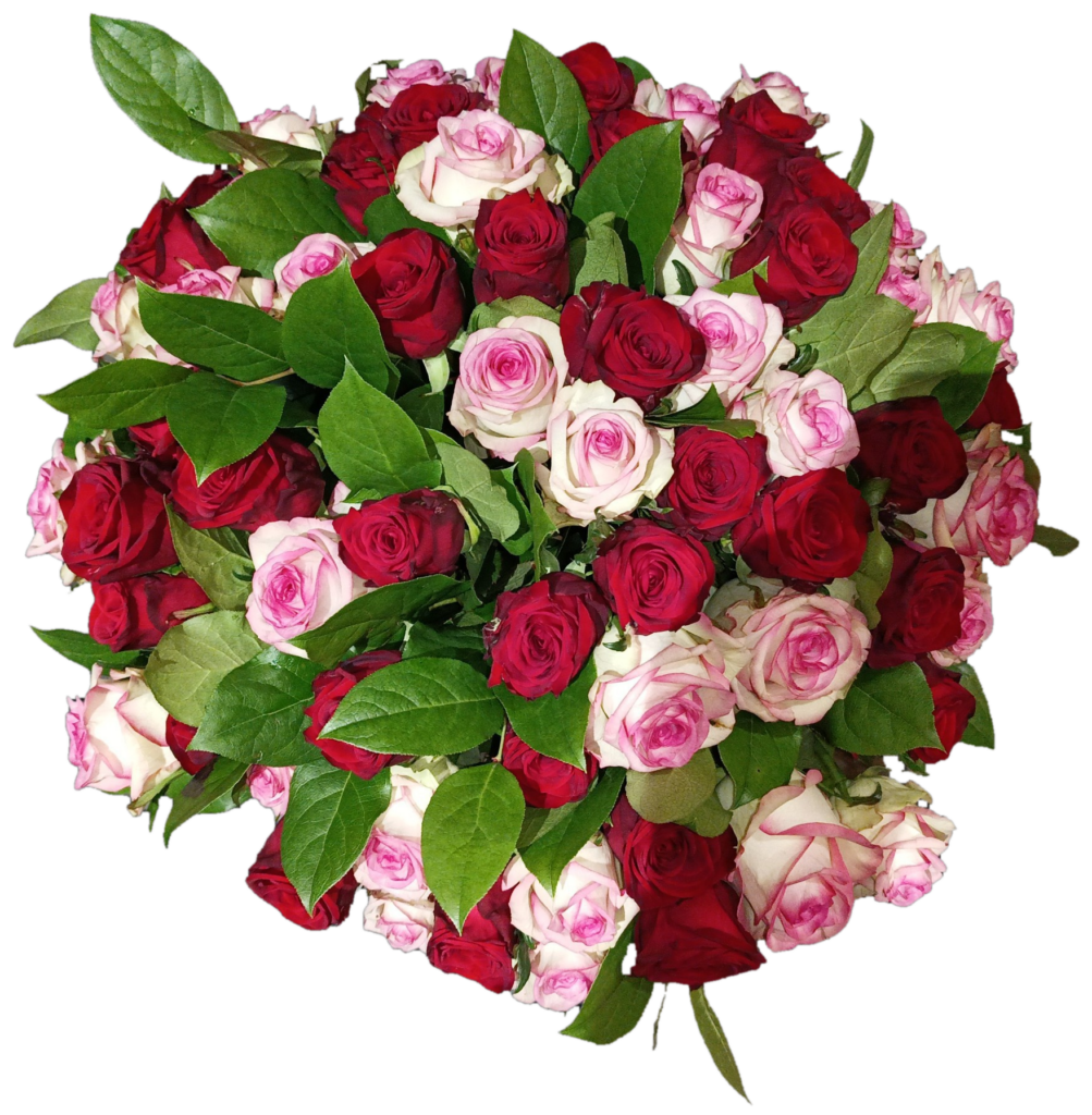 Bouquet 65 roses — Noces de palissandre
