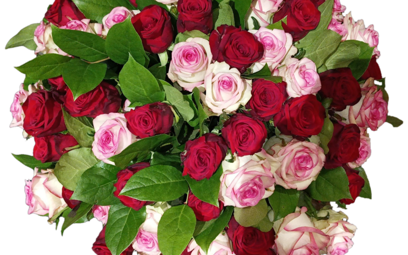 Bouquet 65 roses — Noces de palissandre