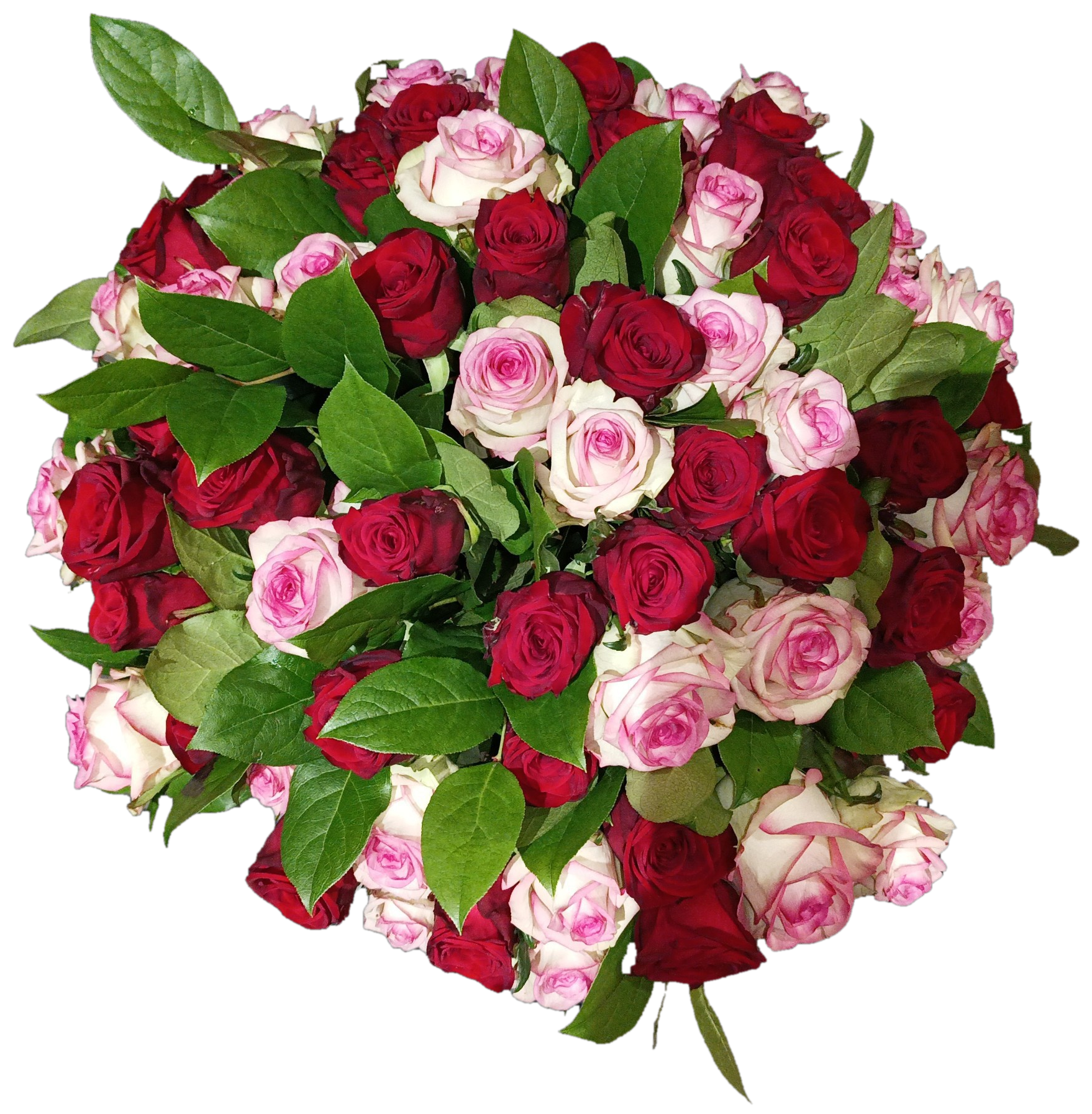 Bouquet 65 roses — Noces de palissandre